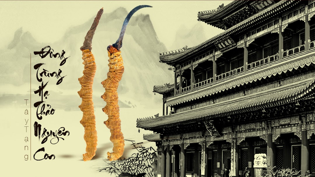 Chi nhánh tại Hà Nội
