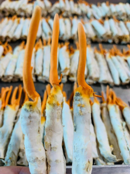 Chi nhánh Đà Nẵng