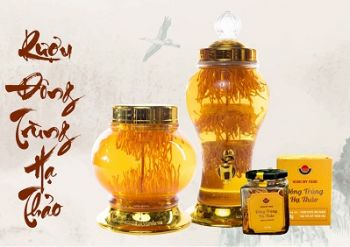 Cách sử dụng Đông trùng hạ thảo tươi