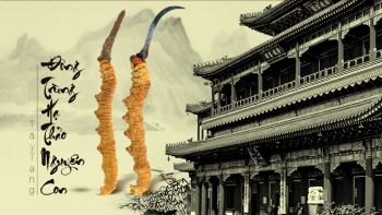 Văn phòng tại Hà Nội: Viện Công nghiệp Thực phẩm - Số 301 Nguyễn Trãi, Thanh Xuân, Hà Nội