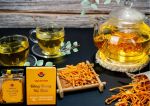 Trà Đông trùng hạ thảo tăng cường miễn dịch