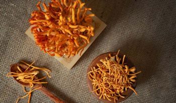 Công dụng của đông trùng hạ thảo đối với bệnh hen suyễn